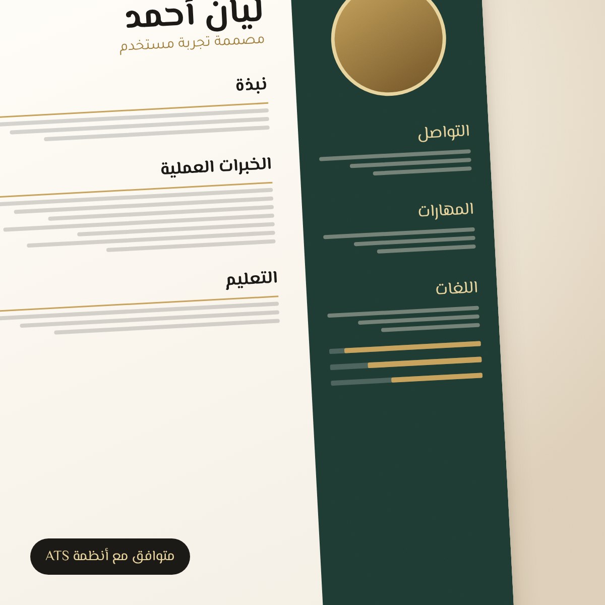 قالب سيرة ذاتية احترافي